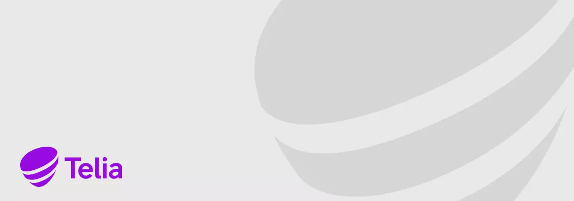 Telian liittymät ja palvelut 23