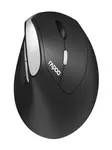 RAPOO EV250 LANGATON OPTINEN PYSTYHIIRI - Hiiret - 6940056135315 - 1
