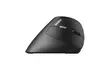 RAPOO EV250 LANGATON OPTINEN PYSTYHIIRI - Hiiret - 6940056135315 - 2
