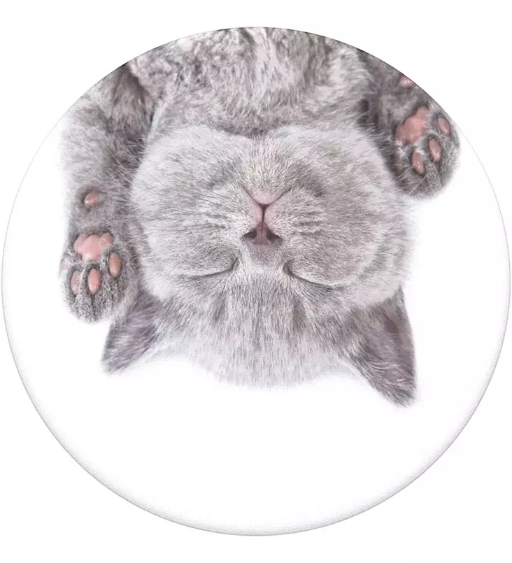 POPSOCKETS POPGRIP CAT NAP - Pidikkeet ja PopSockets - 842978139135 - 1