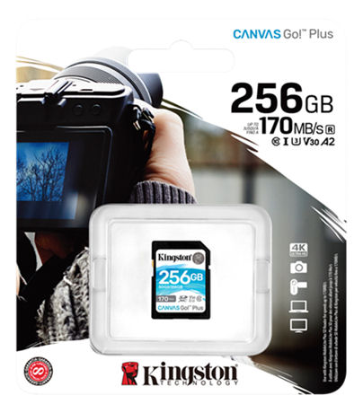 KINGSTON CANVAS GO! PLUS 256GB - Muistikortit - 740617301519 - 1